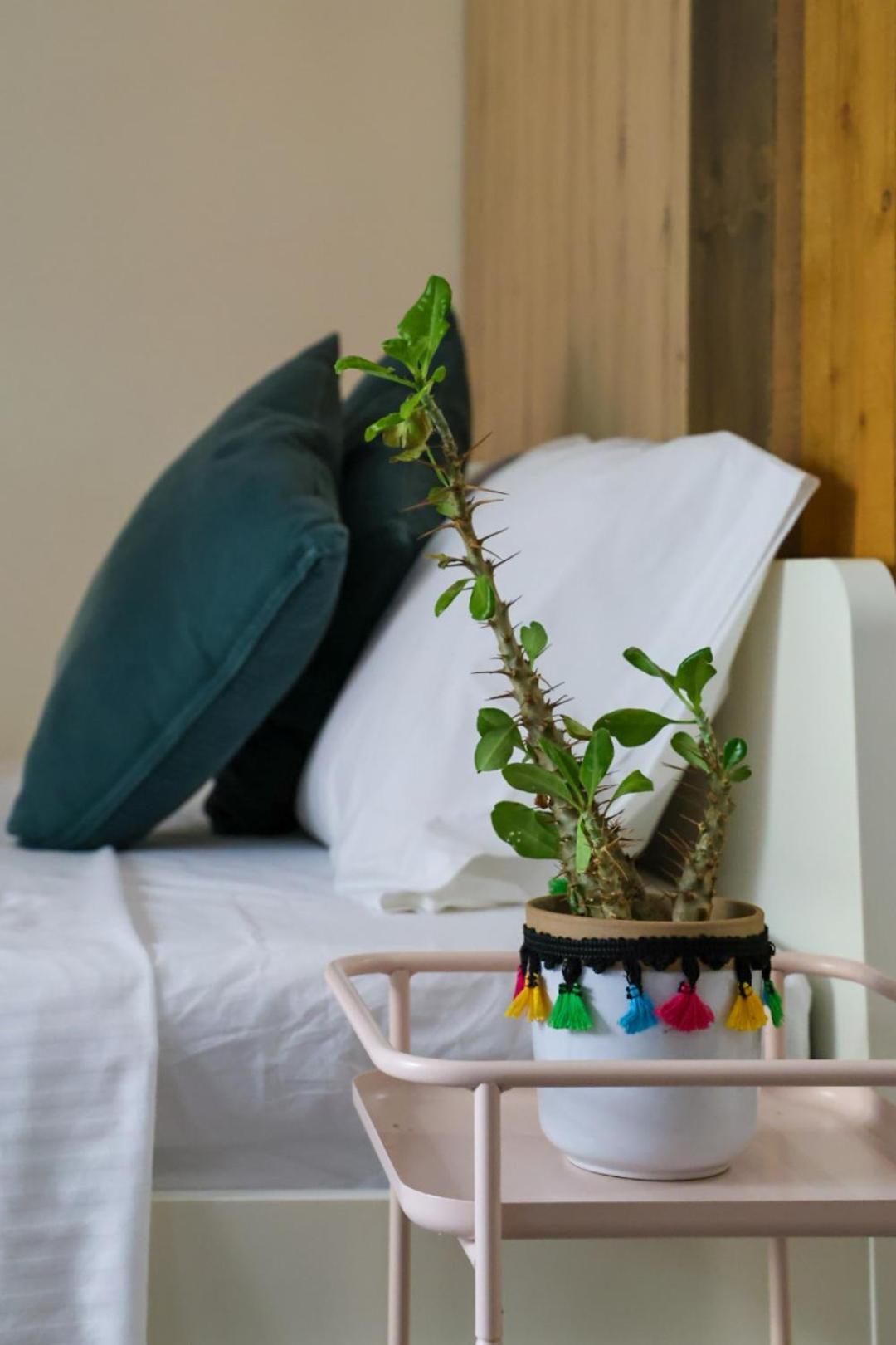 Filena'S Cozy Studio Афіни Екстер'єр фото